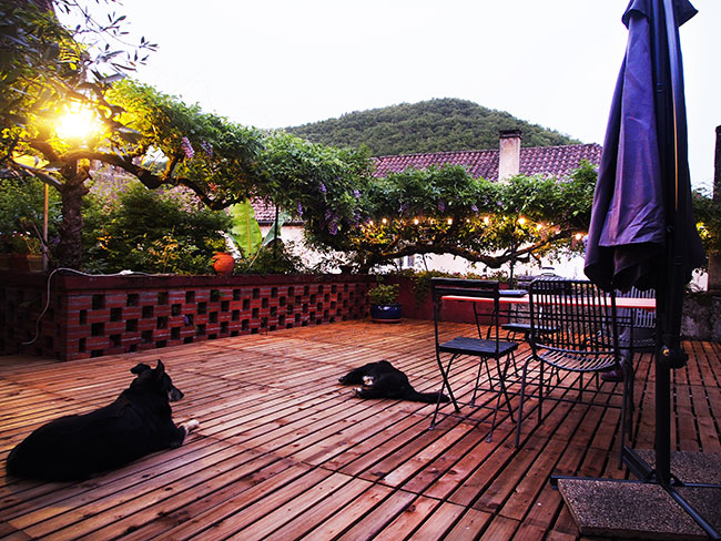 Terrasse de la maison, sol en teck, fin de journée, 2 chiens au repos